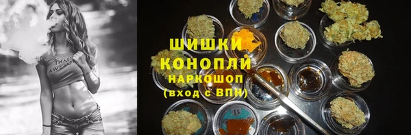 прущие крисы Арсеньев