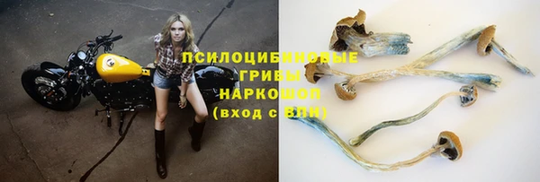 прущие крисы Арсеньев